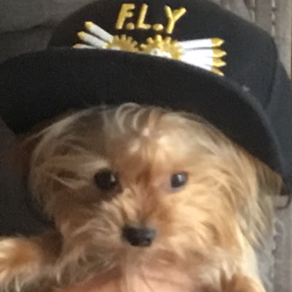 Meet your Posher, Ethan